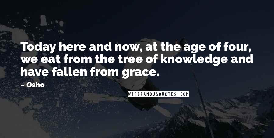 Osho quotes: Today here and now, at the age of four, we eat from the tree of knowledge and have fallen from grace.