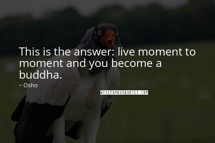 Osho quotes: This is the answer: live moment to moment and you become a buddha.