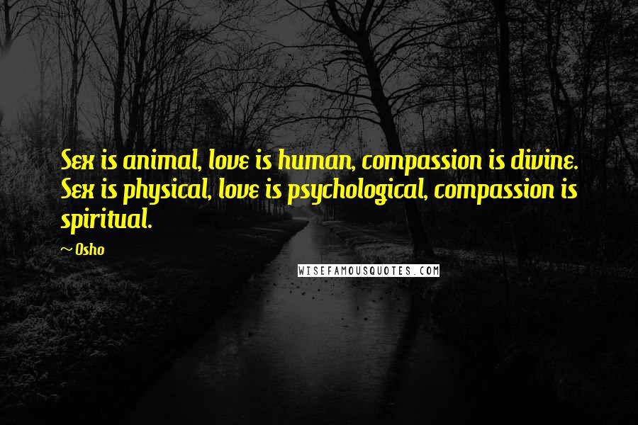 Osho quotes: Sex is animal, love is human, compassion is divine. Sex is physical, love is psychological, compassion is spiritual.