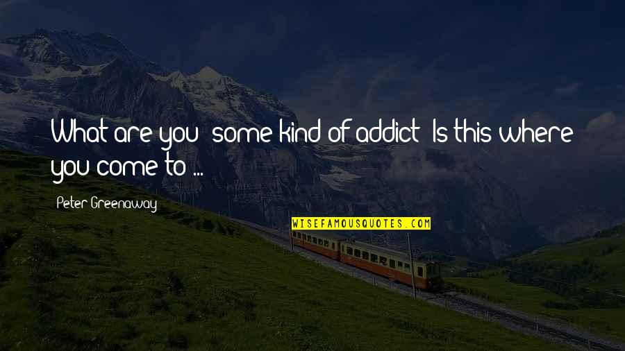 Oslastudentloanservicing Quotes By Peter Greenaway: What are you some kind of addict? Is Oslastudentloanservicing Quotes By Peter Greenaway: What are you some kind of addict? Is