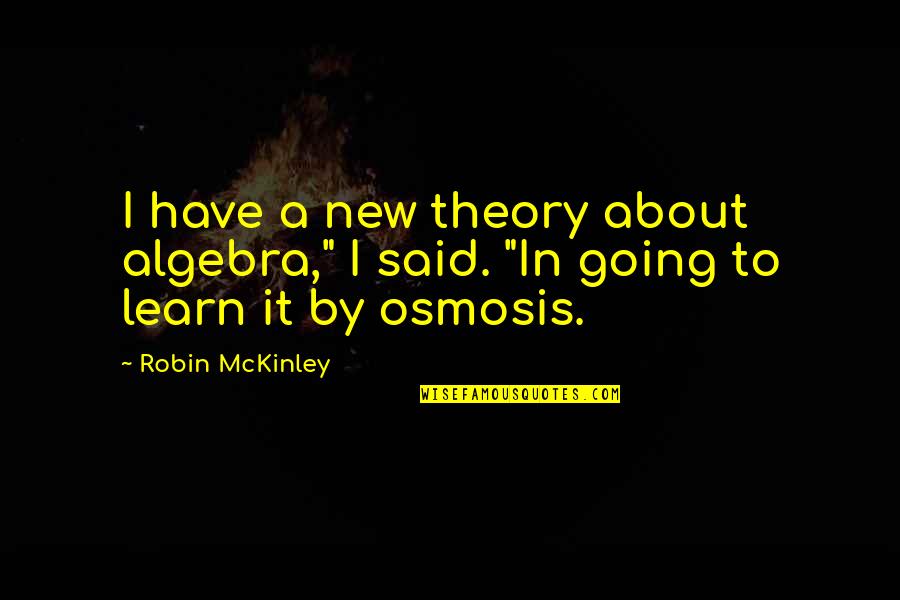 Osmosis Quotes By Robin McKinley: I have a new theory about algebra," I