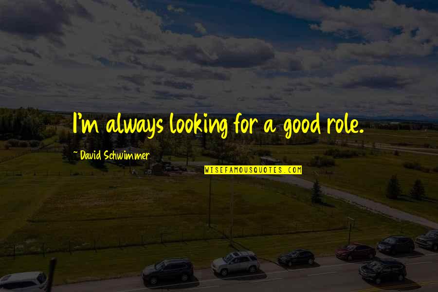 Osservatore Quotes By David Schwimmer: I'm always looking for a good role. Osservatore Quotes By David Schwimmer: I'm always looking for a good role.