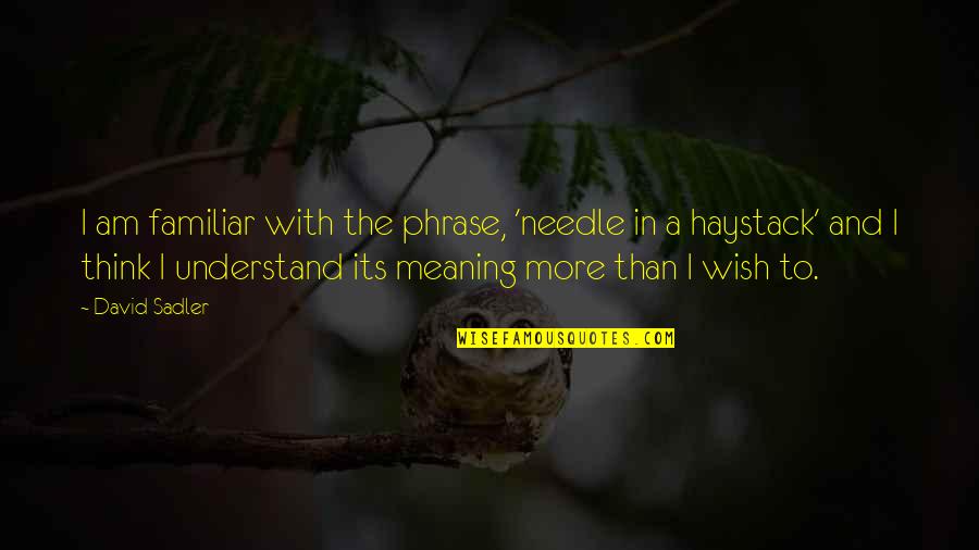 Osservazione Etnografica Quotes By David Sadler: I am familiar with the phrase, 'needle in Osservazione Etnografica Quotes By David Sadler: I am familiar with the phrase, 'needle in