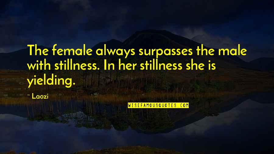 Ostentando Quotes By Laozi: The female always surpasses the male with stillness.