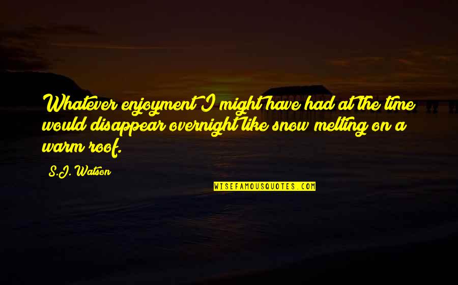 Osteoarthritis Medications Quotes By S.J. Watson: Whatever enjoyment I might have had at the