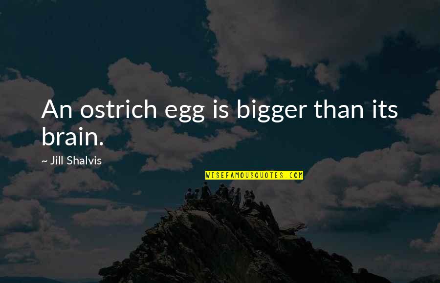 Ostrich Best Quotes By Jill Shalvis: An ostrich egg is bigger than its brain. Ostrich Best Quotes By Jill Shalvis: An ostrich egg is bigger than its brain.