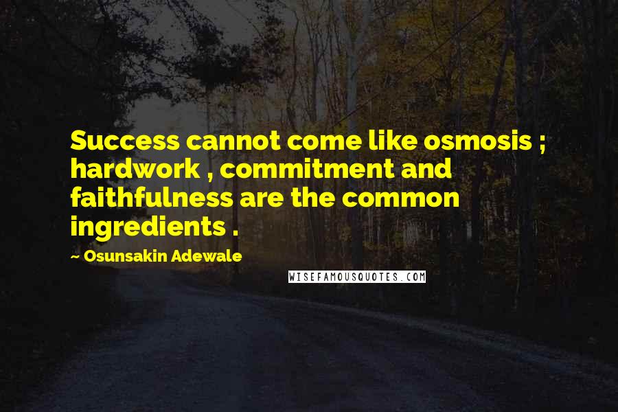 Osunsakin Adewale quotes: Success cannot come like osmosis ; hardwork , commitment and faithfulness are the common ingredients .