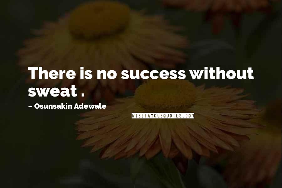 Osunsakin Adewale quotes: There is no success without sweat .