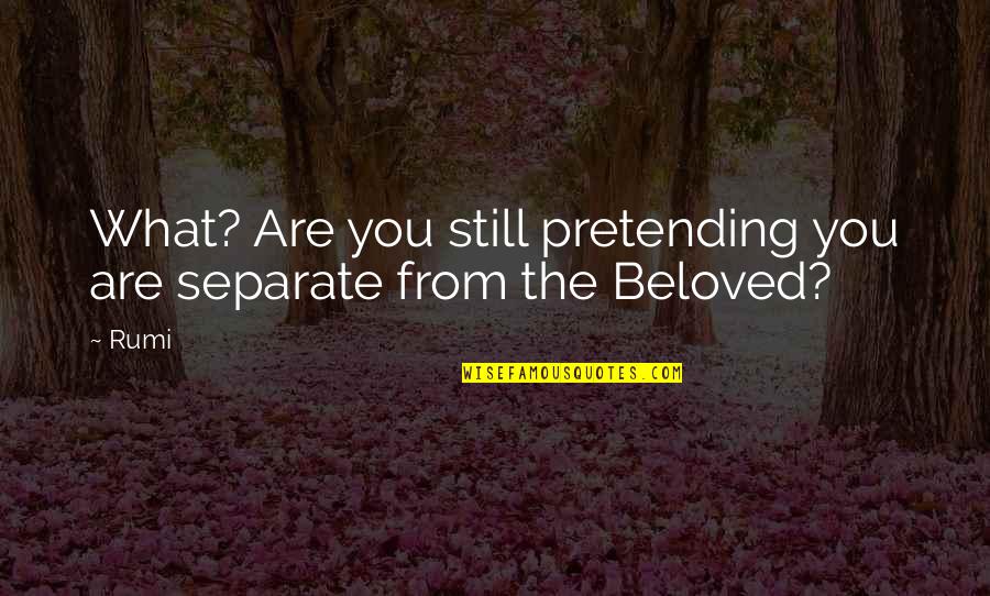 Oswin Quotes By Rumi: What? Are you still pretending you are separate