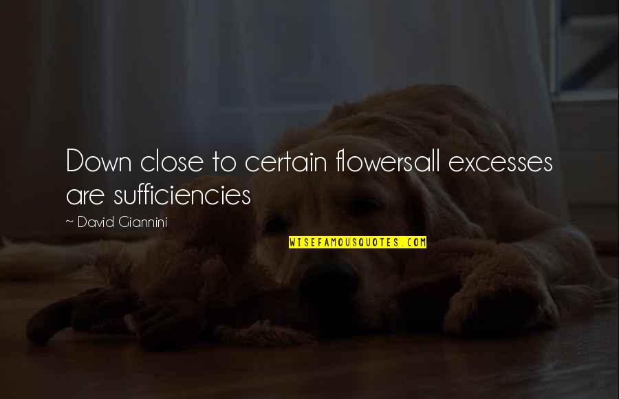 Otentik Sunshade Quotes By David Giannini: Down close to certain flowersall excesses are sufficiencies Otentik Sunshade Quotes By David Giannini: Down close to certain flowersall excesses are sufficiencies