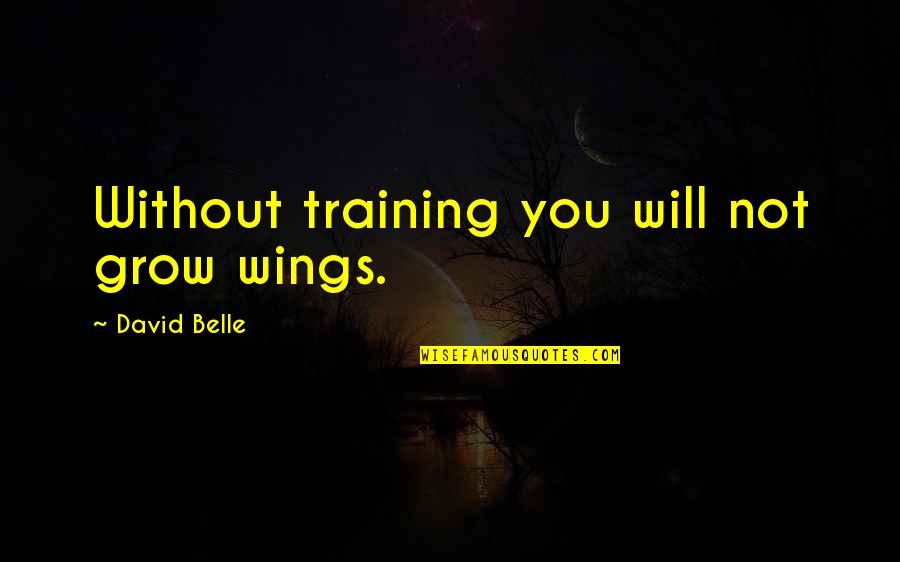 Otgonjargal Duuchin Quotes By David Belle: Without training you will not grow wings. Otgonjargal Duuchin Quotes By David Belle: Without training you will not grow wings.