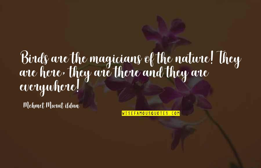 Oth Season 9 Episode 1 Quotes By Mehmet Murat Ildan: Birds are the magicians of the nature! They