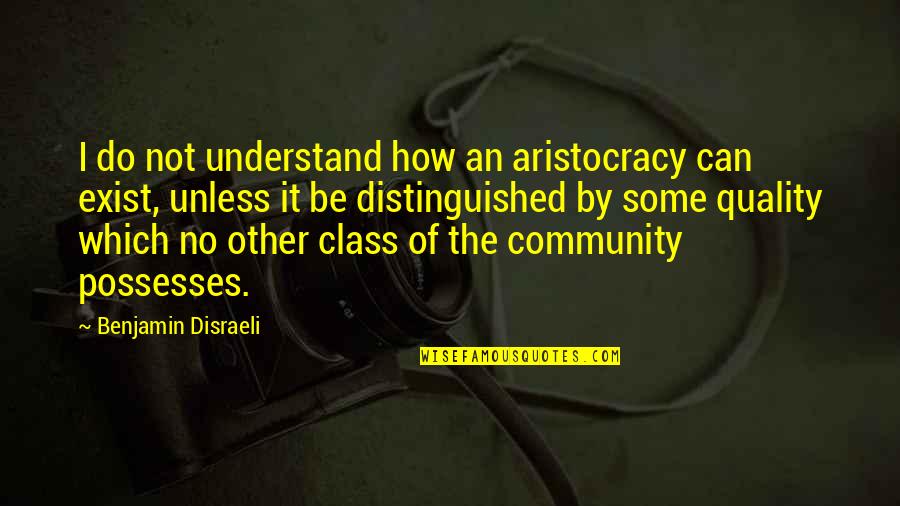 Other Class Quotes By Benjamin Disraeli: I do not understand how an aristocracy can