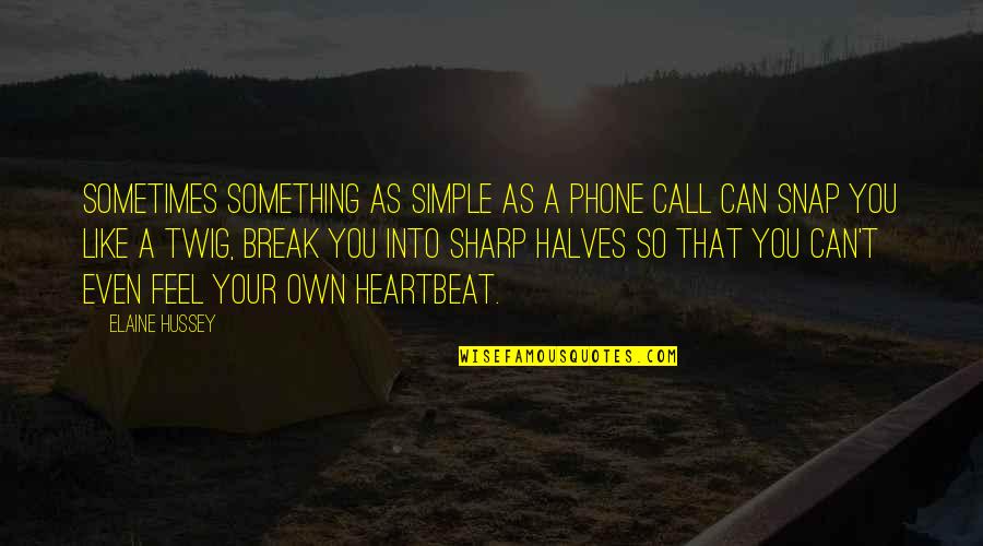 Other Halves Quotes By Elaine Hussey: Sometimes something as simple as a phone call