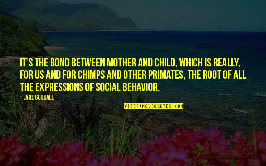 Other Mother Quotes By Jane Goodall: It's the bond between mother and child, which