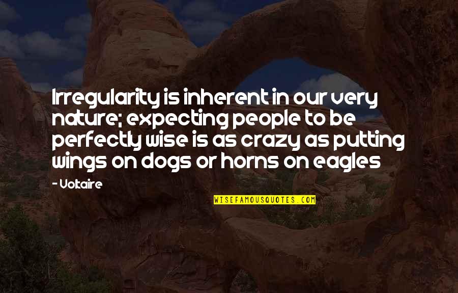 Other People's Dogs Quotes By Voltaire: Irregularity is inherent in our very nature; expecting