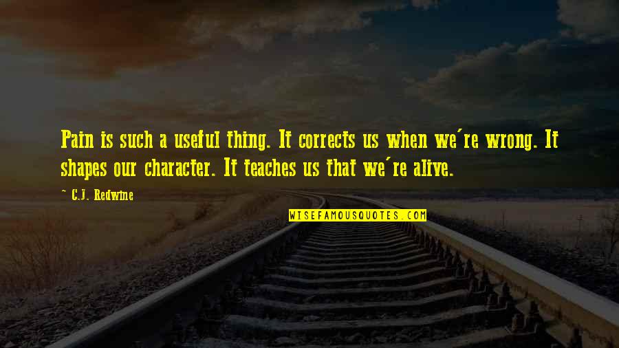 Other Perspectives Quotes By C.J. Redwine: Pain is such a useful thing. It corrects