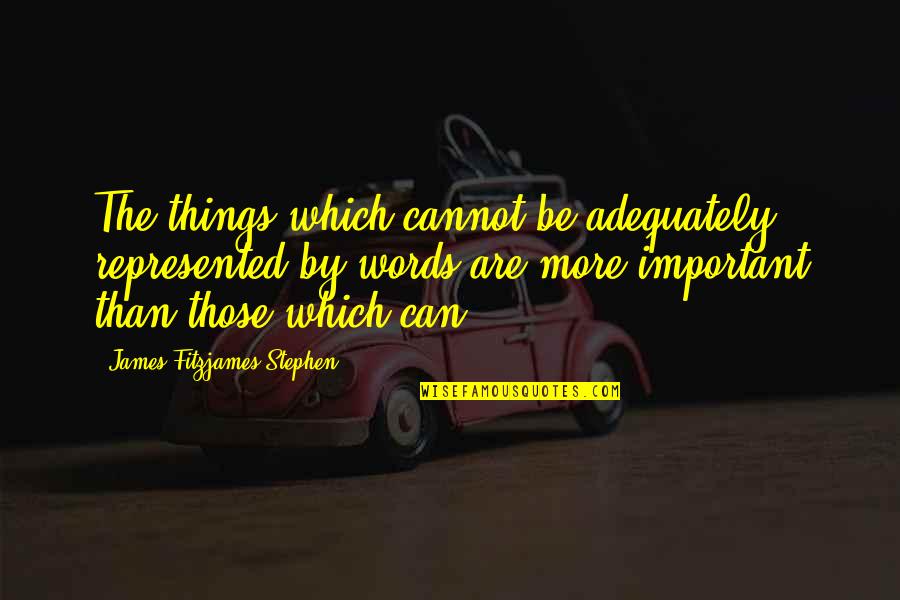 Other Words For Important Quotes By James Fitzjames Stephen: The things which cannot be adequately represented by