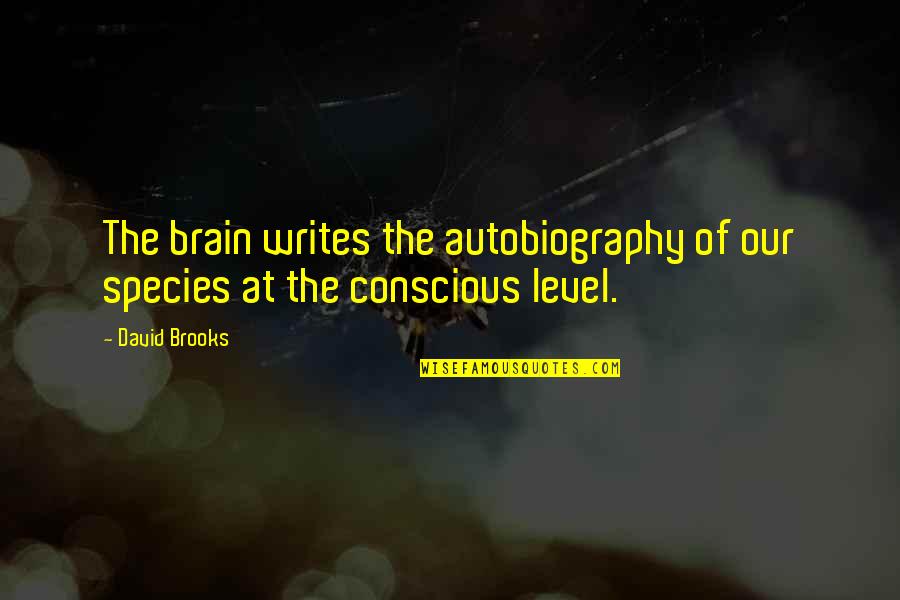 Otherised Quotes By David Brooks: The brain writes the autobiography of our species