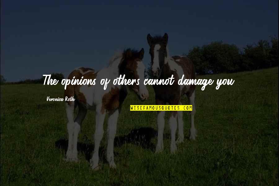 Others Opinions Quotes By Veronica Roth: The opinions of others cannot damage you.