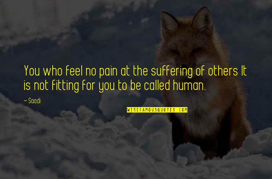 Others Suffering Quotes By Saadi: You who feel no pain at the suffering