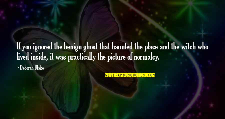 Otherworld's Quotes By Deborah Blake: If you ignored the benign ghost that haunted