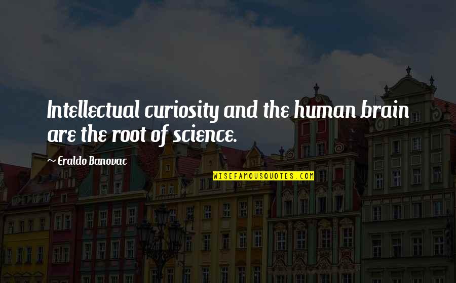 Otorgandome Quotes By Eraldo Banovac: Intellectual curiosity and the human brain are the