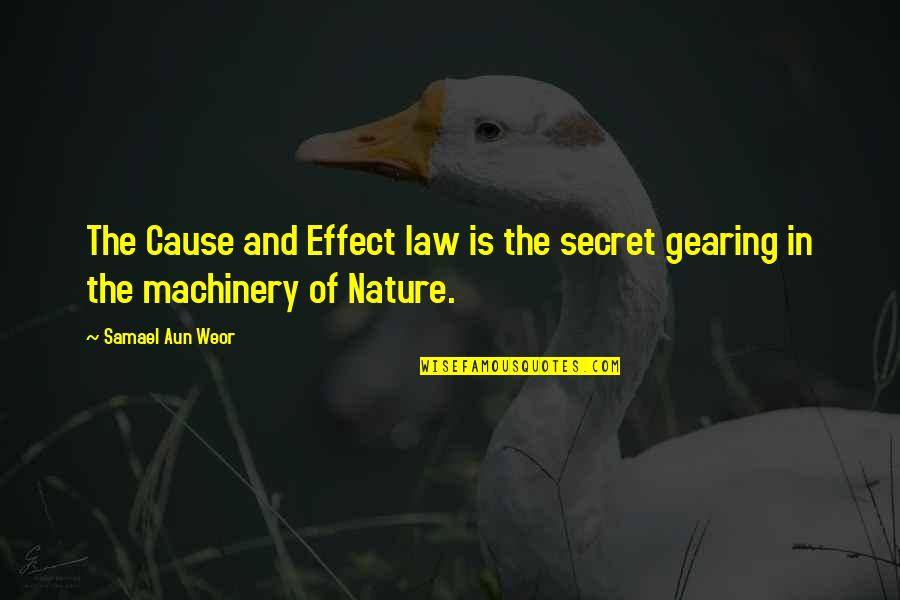 Otpszepkartya Quotes By Samael Aun Weor: The Cause and Effect law is the secret