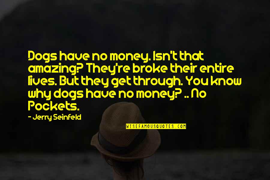 Otsuji Robert Quotes By Jerry Seinfeld: Dogs have no money. Isn't that amazing? They're Otsuji Robert Quotes By Jerry Seinfeld: Dogs have no money. Isn't that amazing? They're