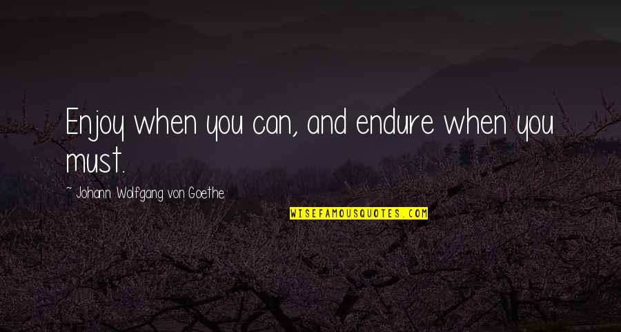Ottenschlager Quotes By Johann Wolfgang Von Goethe: Enjoy when you can, and endure when you