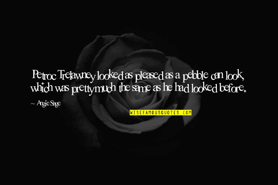 Otteson Quotes By Angie Sage: Petroc Trelawney looked as pleased as a pebble