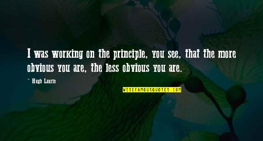 Ouat The Crocodile Quotes By Hugh Laurie: I was working on the principle, you see,