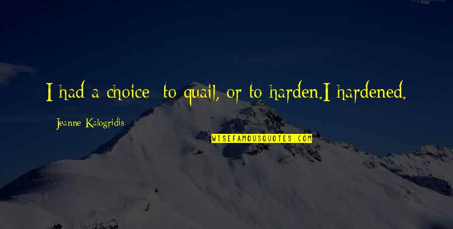 Ouderen Quotes By Jeanne Kalogridis: I had a choice: to quail, or to Ouderen Quotes By Jeanne Kalogridis: I had a choice: to quail, or to