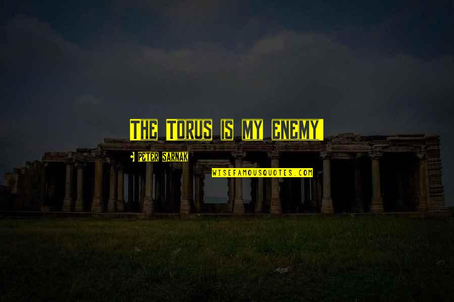 Ouedkniss Quotes By Peter Sarnak: The Torus is my enemy! Ouedkniss Quotes By Peter Sarnak: The Torus is my enemy!