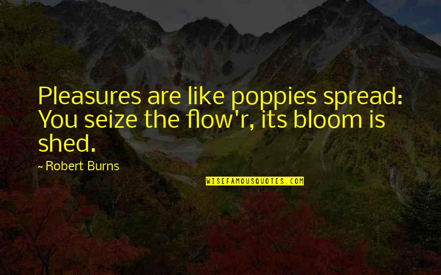 Ouija 2 Quotes By Robert Burns: Pleasures are like poppies spread: You seize the
