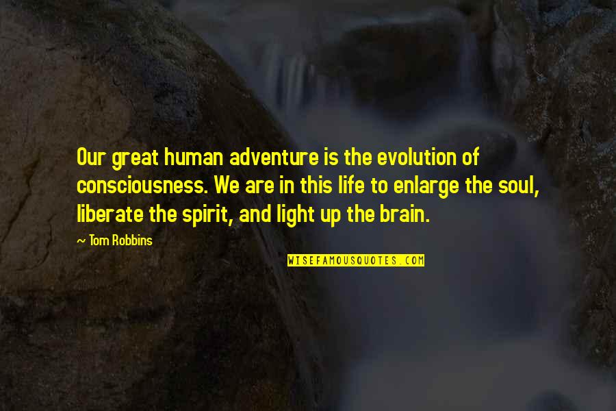 Our Adventure Quotes By Tom Robbins: Our great human adventure is the evolution of