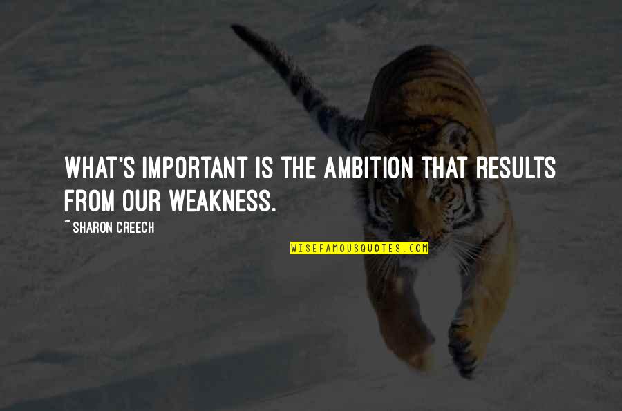 Our Ambition Quotes By Sharon Creech: What's important is the ambition that results from