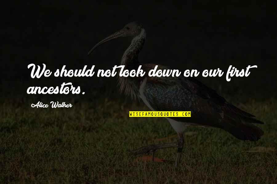 Our Ancestors Quotes By Alice Walker: We should not look down on our first