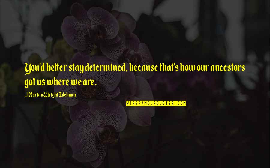 Our Ancestors Quotes By Marian Wright Edelman: You'd better stay determined, because that's how our
