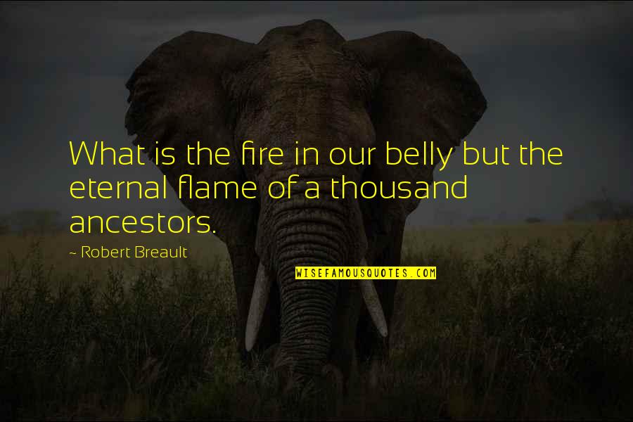 Our Ancestors Quotes By Robert Breault: What is the fire in our belly but