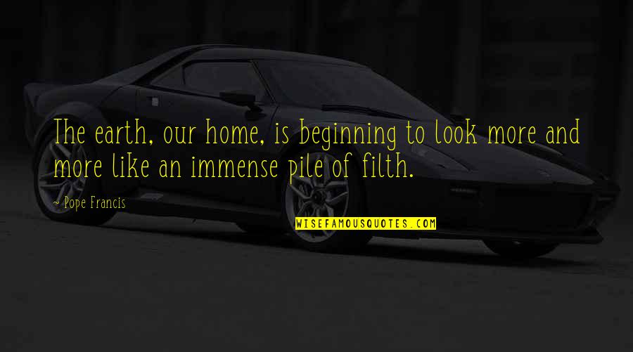 Our Beginning Quotes By Pope Francis: The earth, our home, is beginning to look