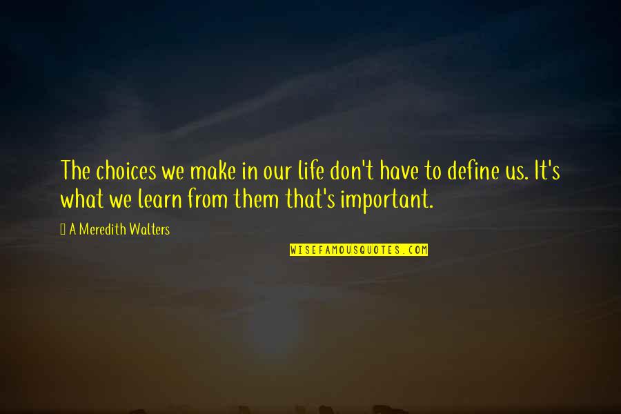 Our Choices In Life Quotes By A Meredith Walters: The choices we make in our life don't