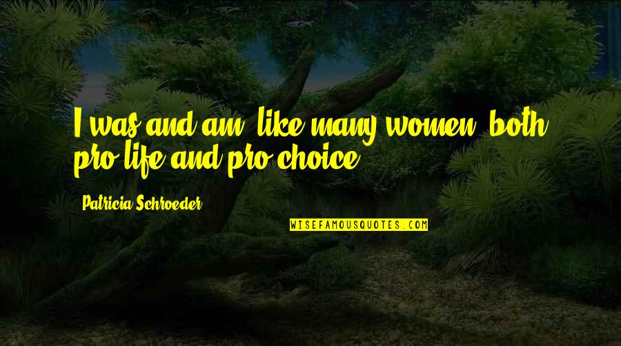 Our Choices In Life Quotes By Patricia Schroeder: I was and am, like many women, both