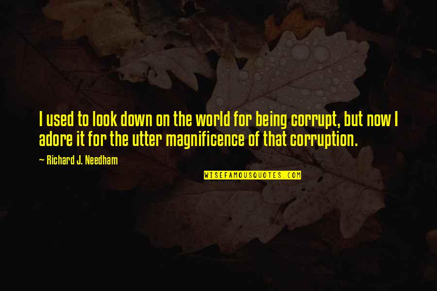 Our Corrupt World Quotes By Richard J. Needham: I used to look down on the world Our Corrupt World Quotes By Richard J. Needham: I used to look down on the world