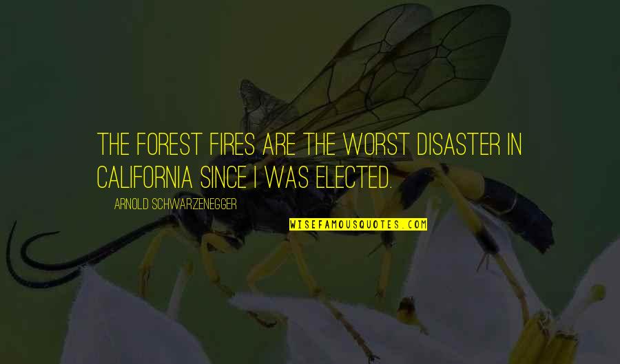 Our Forests Quotes By Arnold Schwarzenegger: The forest fires are the worst disaster in
