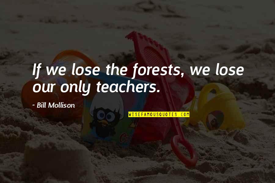 Our Forests Quotes By Bill Mollison: If we lose the forests, we lose our