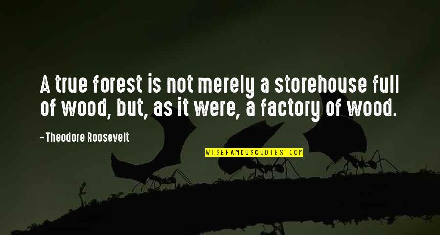 Our Forests Quotes By Theodore Roosevelt: A true forest is not merely a storehouse
