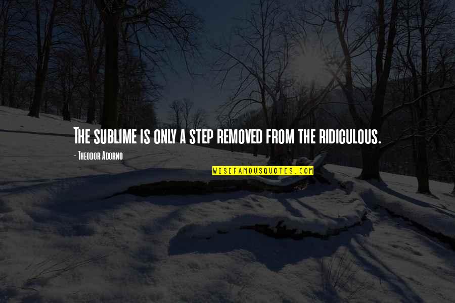 Our Future Relationship Quotes By Theodor Adorno: The sublime is only a step removed from