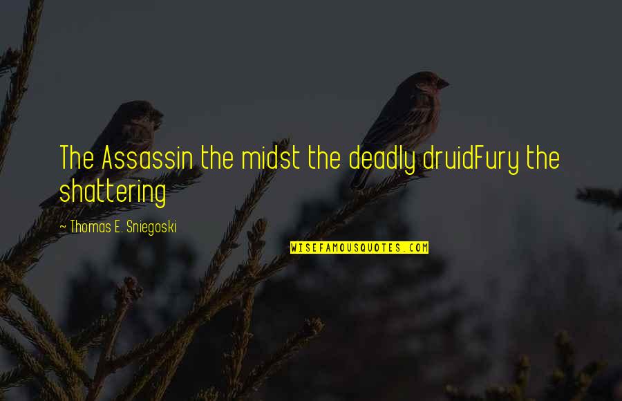 Our Future Relationship Quotes By Thomas E. Sniegoski: The Assassin the midst the deadly druidFury the