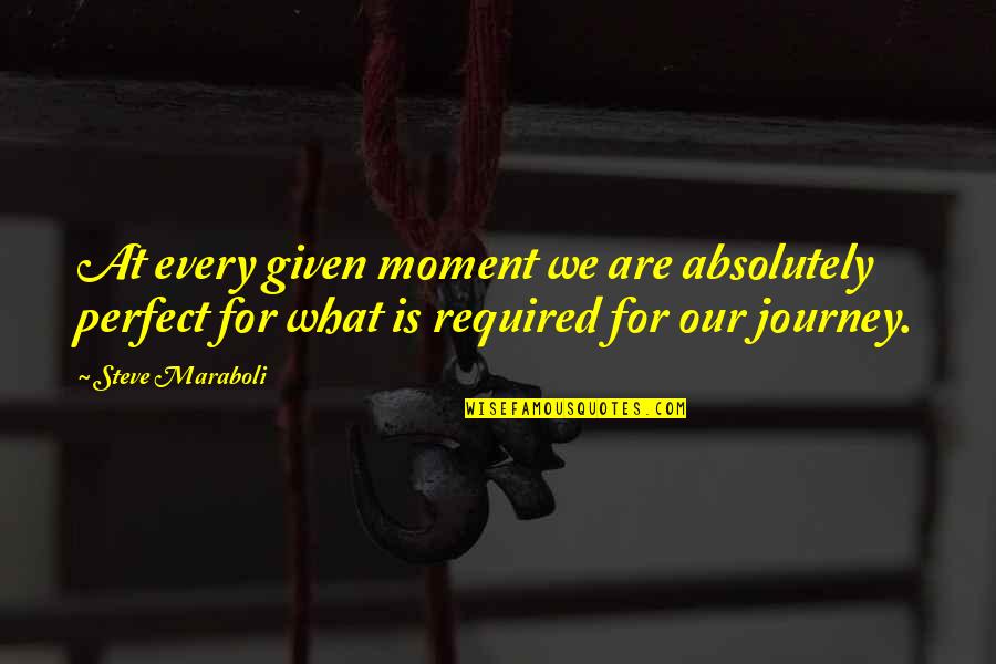 Our Journey Quotes By Steve Maraboli: At every given moment we are absolutely perfect